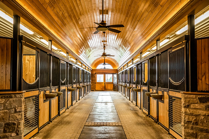 Indoor horse stable view down the aisle showing horse stalls in Ontario by Dutch Masters