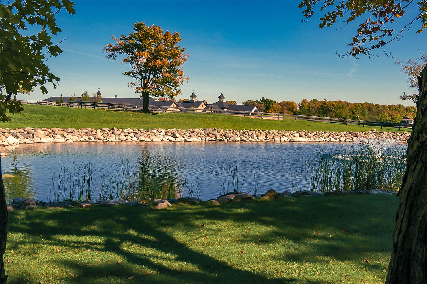 Farmstead Planning - Pond design and construction