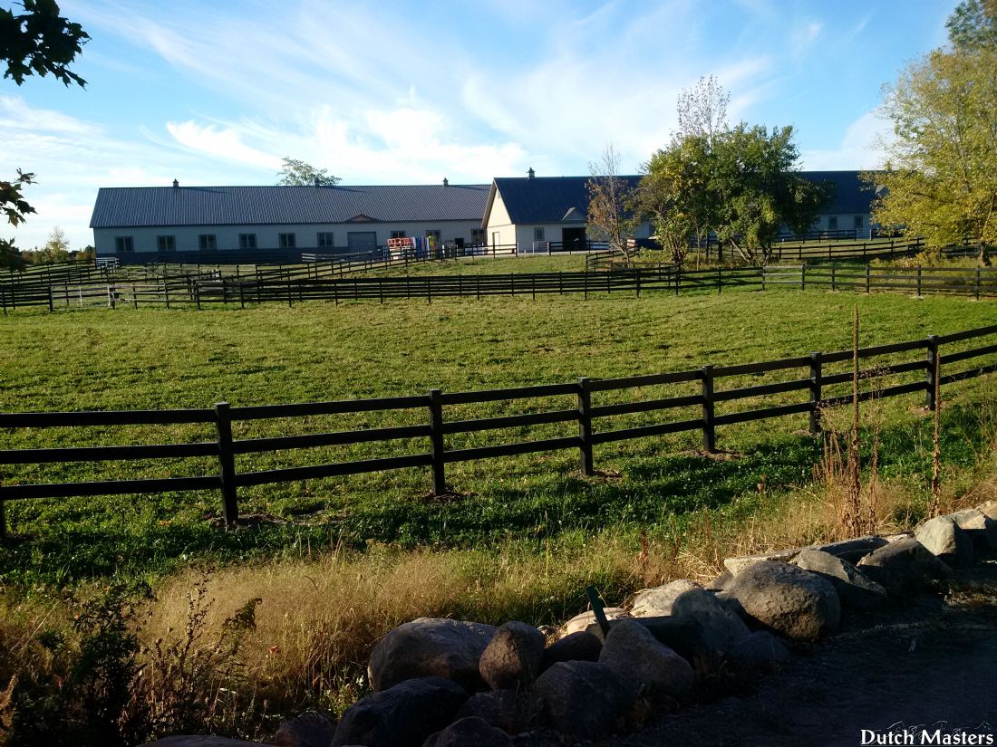 Valhalla Equestrian Centre - Dutch Masters Horse Barn ...