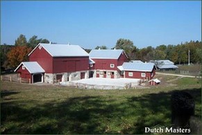 Coffey Creek Restoration
