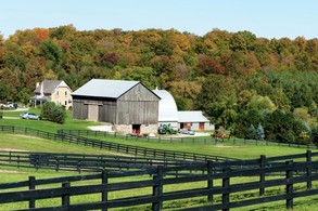 Looking Back Farm
